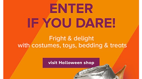 PetSmart 'Enter if You Dare' Email
