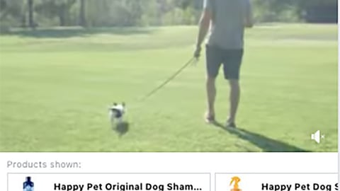 Petco Happy Pet 'Don't Forget the Sunscreen' Facebook Update