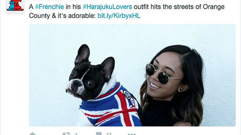 Petco Harajuku Lovers Twitter Update