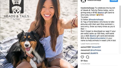 'Heads & Tails by Petco' Instagram Update