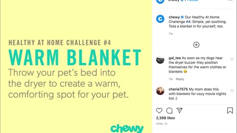 Chewy 'Healthy at Home' Instagram Update