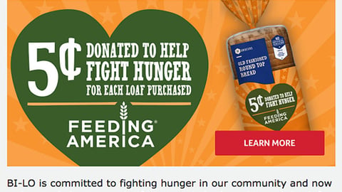 Bi-Lo 'Help Fight Hunger' Email Ad