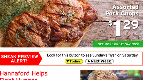 Hannaford 'Shop the Stars' Email Ad