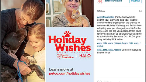 Petco Foundation Halo 'Holiday Wishes' Instagram Update