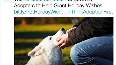 Petco 'Holiday Wishes' Twitter Update