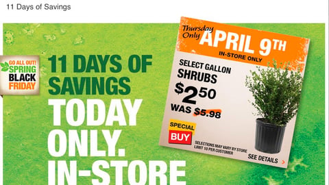 Home Depot '11 Days Of Savings' Web Page
