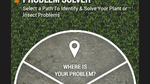 Home Depot App 'Weed, Plant & Pest Problem Solver' Tool