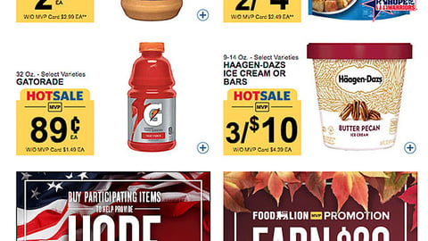 Food Lion Hope for the Warriors Email Ad
