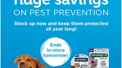 Petco Bayer 'Huge Savings' Email