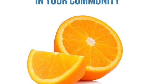 Food Lion 'Orange Bag' Instagram Update