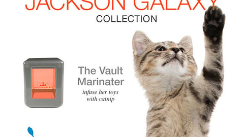 PetSmart Jackson Galaxy Collection Email