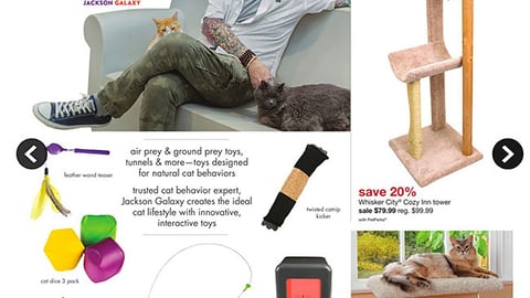 PetSmart Jackson Galaxy Collection Feature