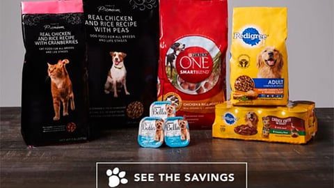 Publix 'Love Your Pet' Email