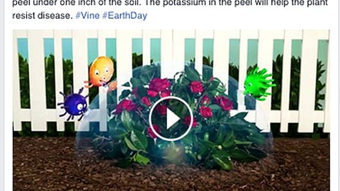 Lowe's Earth Day Vine