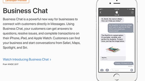 Lowe's Apple 'Business Chat' Feature