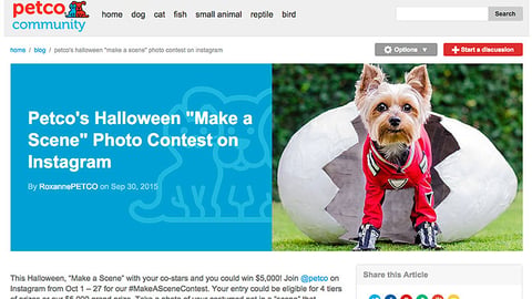 Petco 'Make A Scene' Blog Post