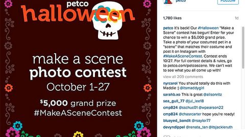 Petco 'Make A Scene' Instagram Update