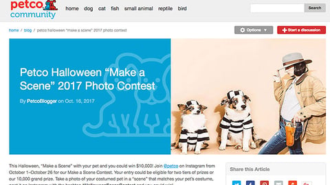 Petco 'Make a Scene' Blog Post