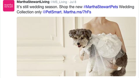 Martha Stewart Living PetSmart 'Wedding Collection' Tweet