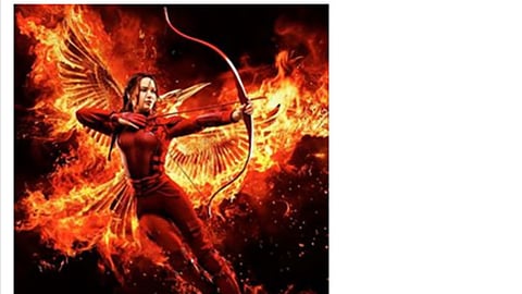 Whole Foods 'The Hunger Games: Mockingjay - Part 2' Facebook Update