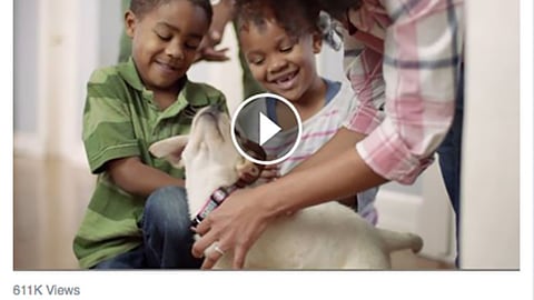 Meijer 'More Mischief' Facebook Update