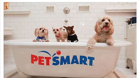 PetSmart 'New Spring Line' Facebook Update