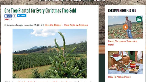 Whole Foods 'One Tree Planted' Blog Post