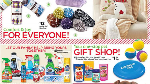 Dollar General SC Johnson 'Our Family' Feature