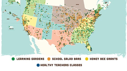 Whole Foods 'Our Roots Are Deep' Email