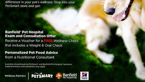 PetSmart 'Paws for Pet Health' Flyer
