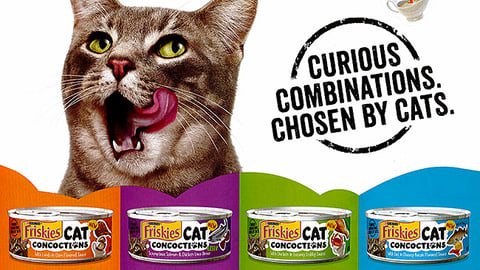 PetSmart Friskies Cat Concoctions Flyer