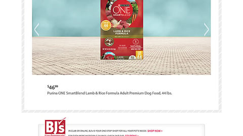 BJ's 'Spoil Your Furry Friend' Promotional Web Page