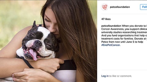 Petco Foundation 'Pet Cancer Awareness' Instagram Update
