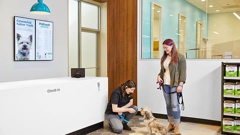 PetCoach Grooming Salon