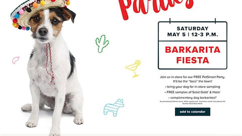 PetSmart 'Barkarita Fiesta' Digital Feature