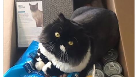 Petco 'All Their Essentials' Facebook Update