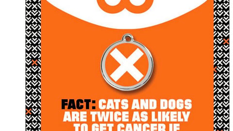 Petco Truth 'Pick One Up' Twitter Update
