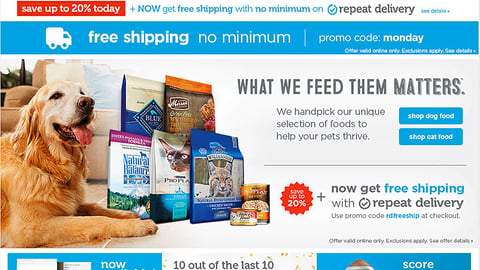 Petco 'Puppy Bowl XIII' Display Ad