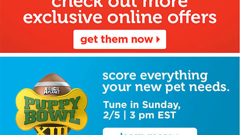Petco 'Puppy Bowl XIII' Email Ad