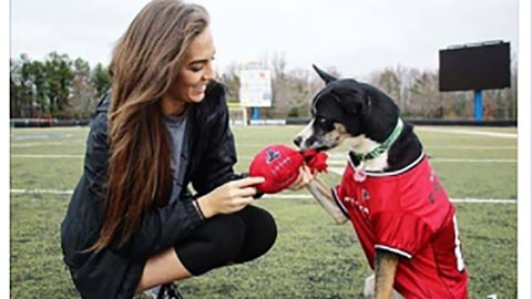 Petco 'Are You Ready?' Facebook Update