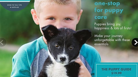 PetSmart 'The Puppy Center' Circular Cover