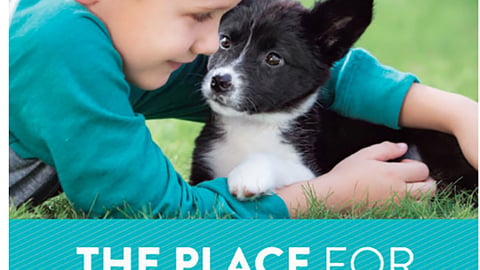 PetSmart 'All Things Puppy' Email