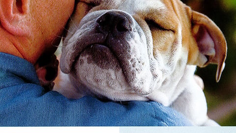 PetSmart 'Puppy Palooza' One-Sheet