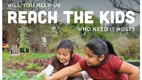 Whole Kids Foundation King Arthur 'Reach the Kids' Email