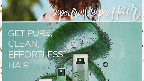 Garnier Fructis 'Refresh Your Hair' FSI