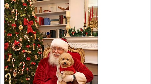 PetSmart 'Capturing Holiday Memories' Facebook Update