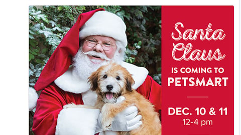 PetSmart 'Free Photo' Twitter Update