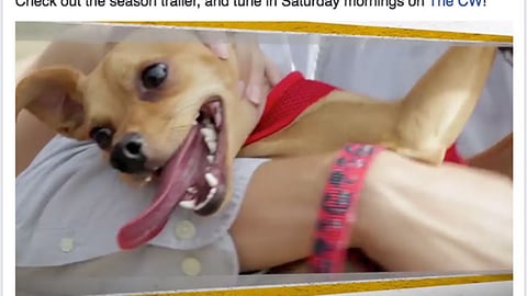 PetSmart DOG for DOG 'Save Our Shelter' Facebook Update