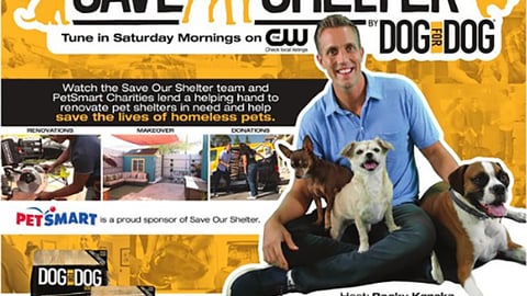PetSmart DOG for DOG 'Save Our Shelter' Feature
