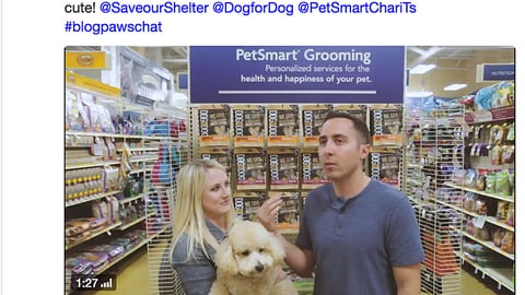 PetSmart DOG for DOG 'Save Our Shelter' Twitter Update